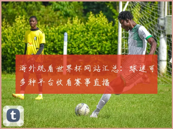 海外观看世界杯网站汇总：球迷可多种平台收看赛事直播